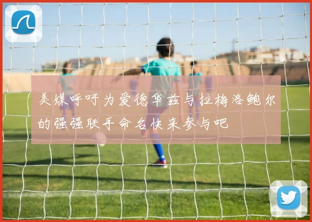 美媒呼吁为爱德华兹与拉梅洛鲍尔的强强联手命名快来参与吧