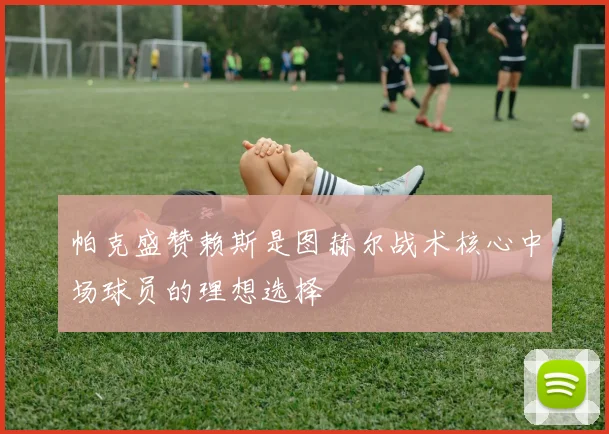 帕克盛赞赖斯是图赫尔战术核心中场球员的理想选择